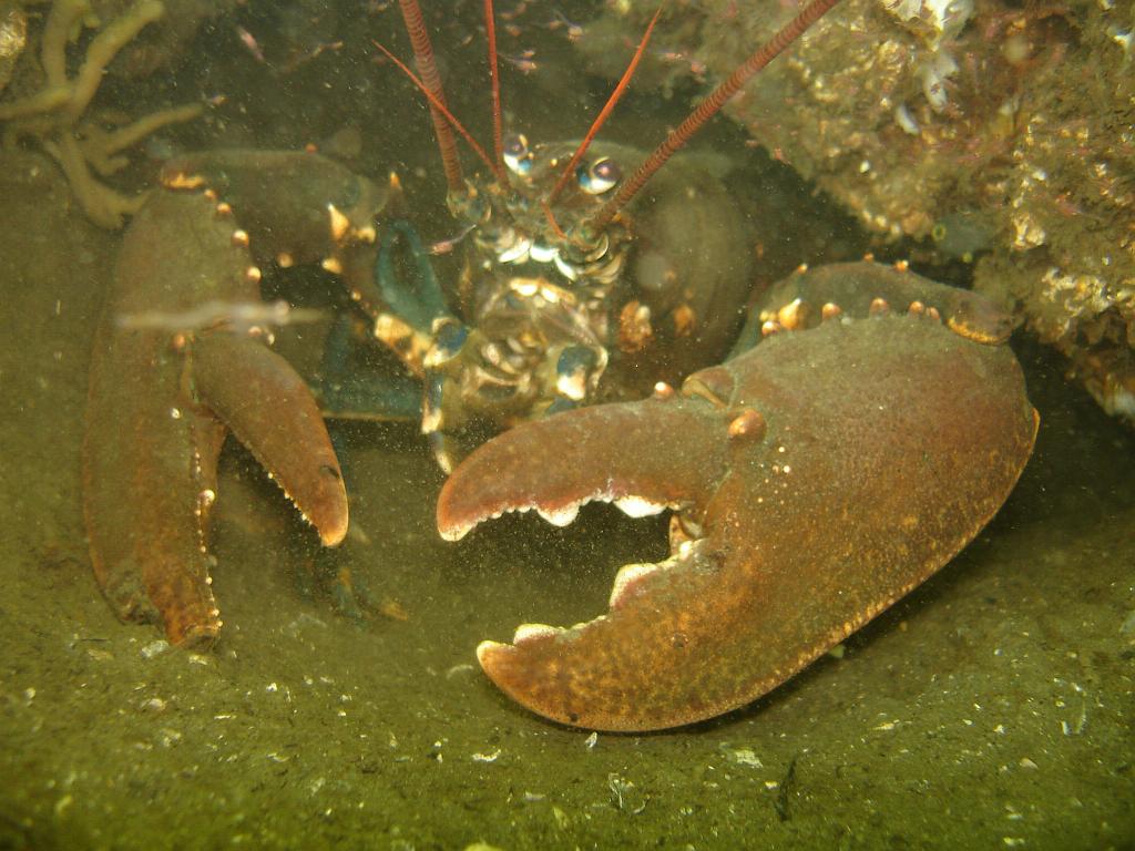 2008-06-28 12-24-17 H.JPG